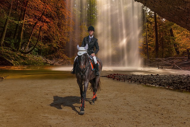 calendario cultural en escritorio con afiches y notas