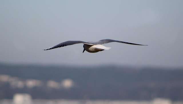 fotografía documental en exposición valparaíso sala